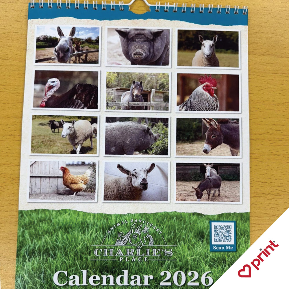 Bespoke branded wirobind calendar by luvprint Stoke-on-Trent
